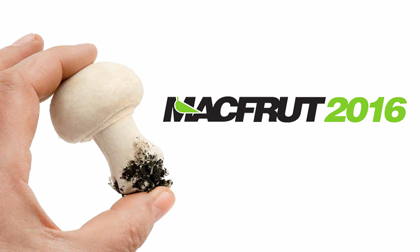 Macfrut 2016: il Fungo Italiano Certificato parteciperà all'edizione 2016