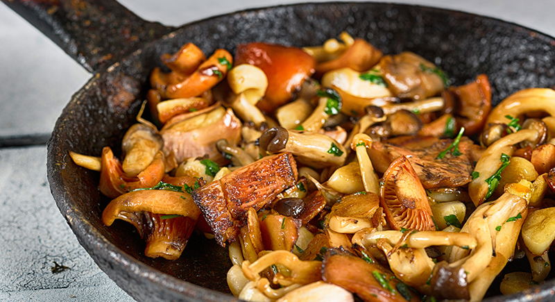 Funghi Pleurotus in padella