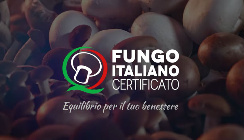 MasterChef Italia:  Fungo Italiano pronto per la nuova edizione